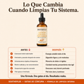 SOOTHEPLUS - GOTAS DE CÚRCUMA + CARDO MARIANO PARA LIMPIAR TU HÍGADO